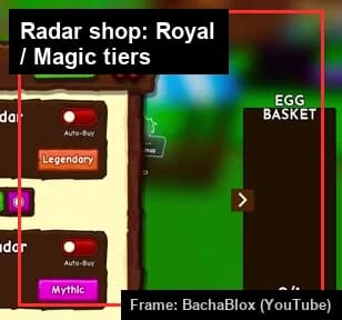 The radar shop panel showing Royal Radar and Magic Radar tiers with prices